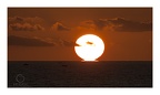 sunset 3959