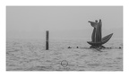 venezia 3502