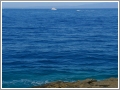 Punta Chiappa