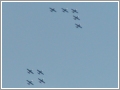 Frecce Tricolori