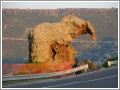 Sardegna