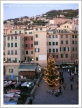 Camogli a Natale