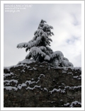 Aosta, nevicata del 24 novembre 2008