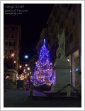 Camogli a Natale 2008