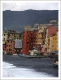 Camogli a Natale 2008