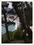 Alassio