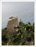 Alassio