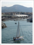 Genova, Porto Torre, Alghero e Alinghi 5
