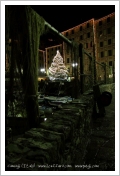 Camogli a Natale 2009