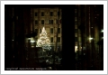 Camogli a Natale 2009