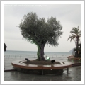 Alassio