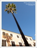 Alassio