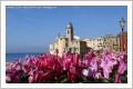 Camogli