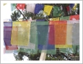 fotografia del Nepal