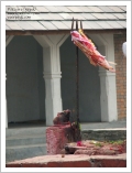 fotografia del Nepal