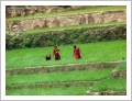 fotografia del Nepal