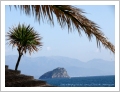 Noli