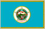 bandiera Minnesota