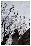 Mentone a gennaio
