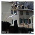 Sagra del Pesce, Camogli 2011