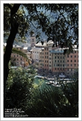 Sagra del Pesce, Camogli 2011