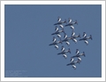 Albenga Air Show e Frecce Tricolori