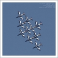 Albenga Air Show e Frecce Tricolori