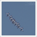 Albenga Air Show e Frecce Tricolori