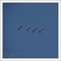 Albenga Air Show e Frecce Tricolori