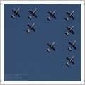Albenga Air Show e Frecce Tricolori