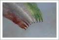 Albenga Air Show e Frecce Tricolori