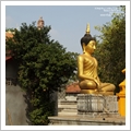 Cambogia