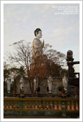 Cambogia