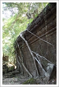 Cambogia