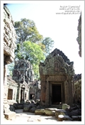 Cambogia