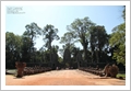 Cambogia