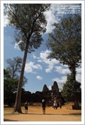 Cambogia