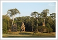 Cambogia