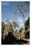 Cambogia