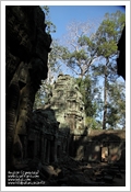 Cambogia
