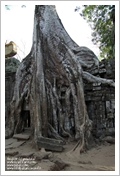 Cambogia