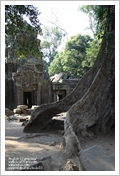 Cambogia