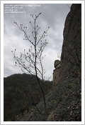Castello della Pietra, Vobbia