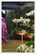 Euroflora 2011