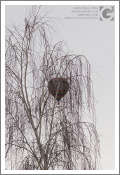Aosta, San Valentino in mongolfiera