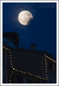Festa Stella Maris, Camogli