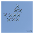 Loano, Air Show 2016