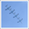 Loano, Air Show 2016