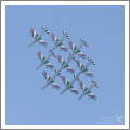 Loano, Air Show 2016