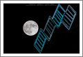 super luna, Genova